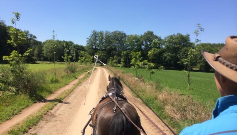 Wilko Houwers Coaching met Paard